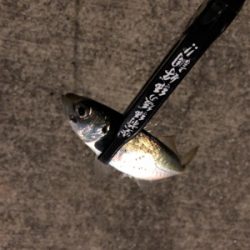 完敗からの安パイ