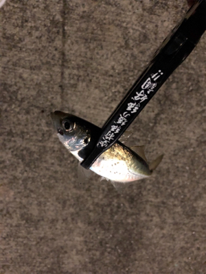 完敗からの安パイ