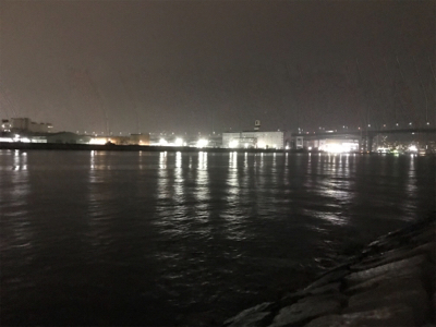 雨の中でのアジング