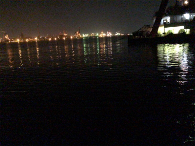 ありものタックルでヒイカ