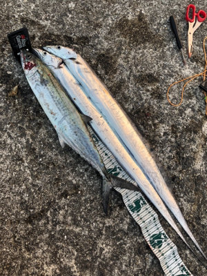 今年最後の釣り納め‼…