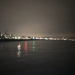 明石ワインド15