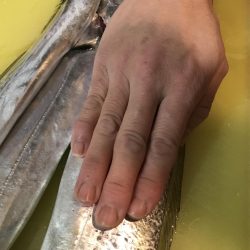 フラっと寄り道