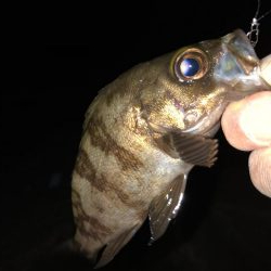 メバリング成立。