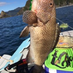 大漁！！根魚ジギング