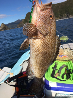 大漁！！根魚ジギング