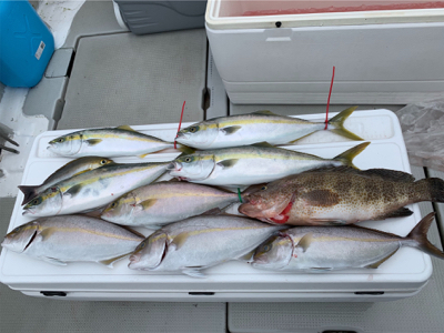 和歌山 御坊 OCEANKID'…