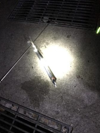 なんとかタチウオ！