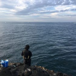 仕事辞めたっす