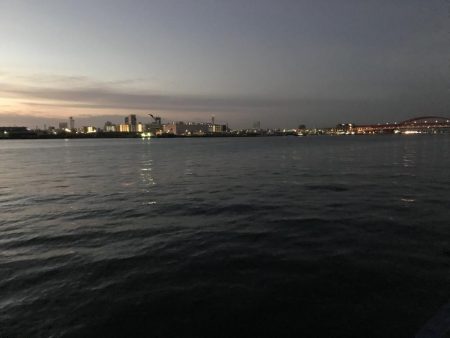 タチウオ終盤。