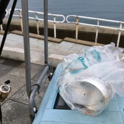 太刀魚渋い デカアジ回遊中