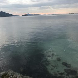 投げ釣りでマダイ