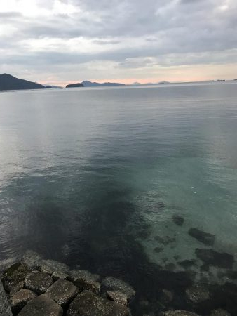 投げ釣りでマダイ