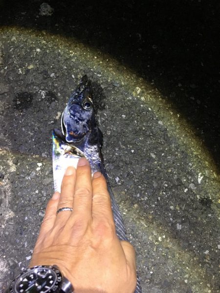 明るい時間に！しかし・・・