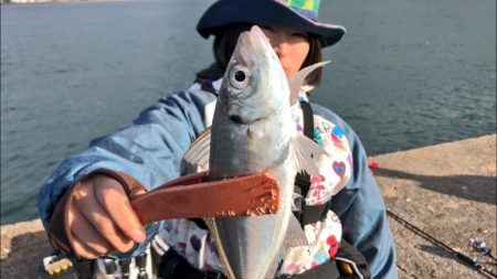 思ってたよりデカイ