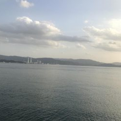 ガッシー( ；∀；)