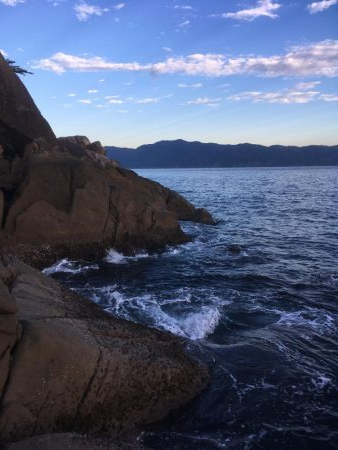 大島17番タキでフカセ釣り