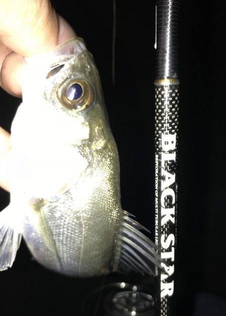 色々釣れる晩秋