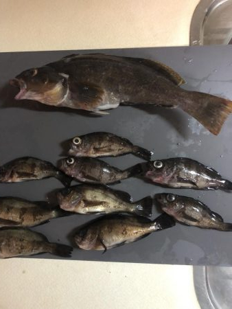 アイナメ38センチ