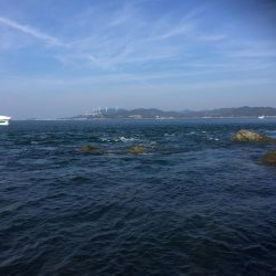 亀浦ゴロタでマダイとウマヅラ