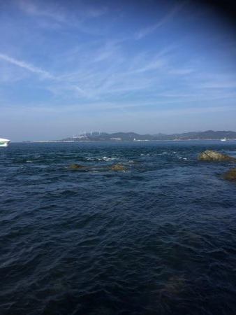 亀浦ゴロタでマダイとウマヅラ