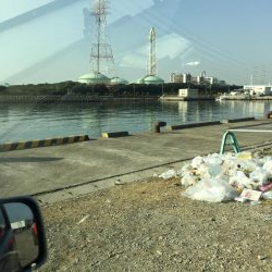 ハマらずのデイヒイカ