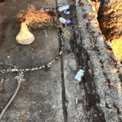 アジング、ゴミ拾い