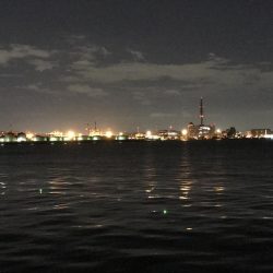 本格的に寒くなって参りました