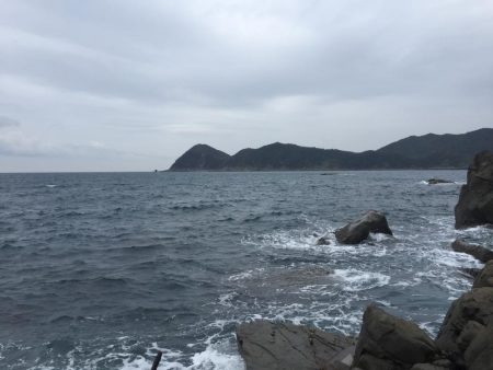 サイレントアサシンでアオリイカ