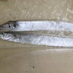 寒くなってきた