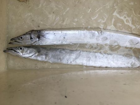 寒くなってきた