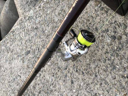 シーズン終盤突入