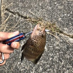 久々の三重釣行