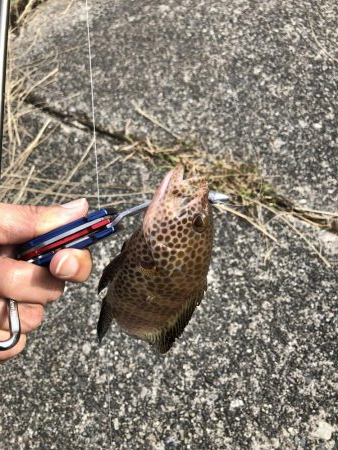 久々の三重釣行