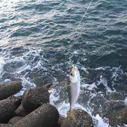 強風タチウオワインド