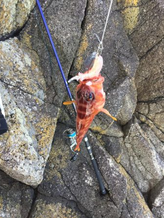 渡船でショアジギング