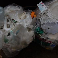 フラット日和二日目！