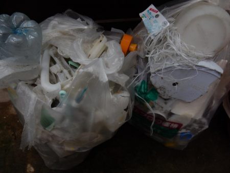 フラット日和二日目！