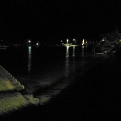 良い引きでした