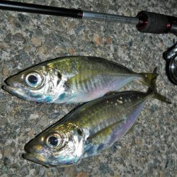 荒れてます、雨降ってます