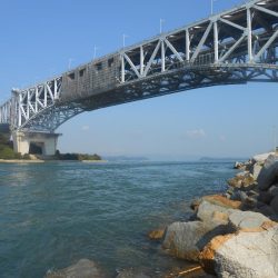 初のワームで挑戦した結果