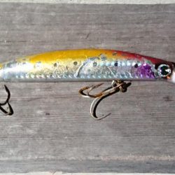 スズキと言っていいですか？