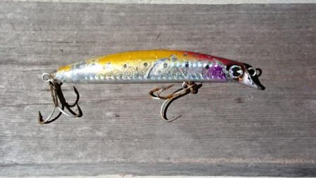 スズキと言っていいですか？