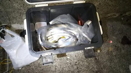 タチウオ&アジほか