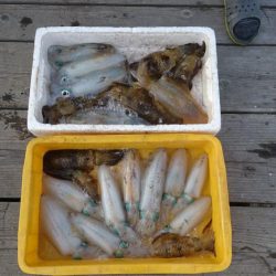 ボートエギング