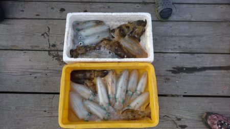 ボートエギング