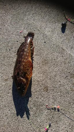 ちょい投げシーズン到来