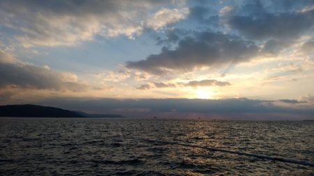 ルアーを忘れてサビキでアナハゼとスズメダイ