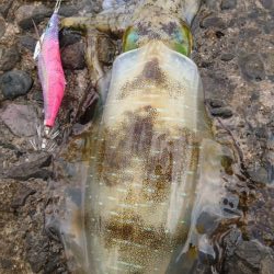 出張でアウェイの場所