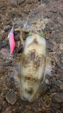 出張でアウェイの場所